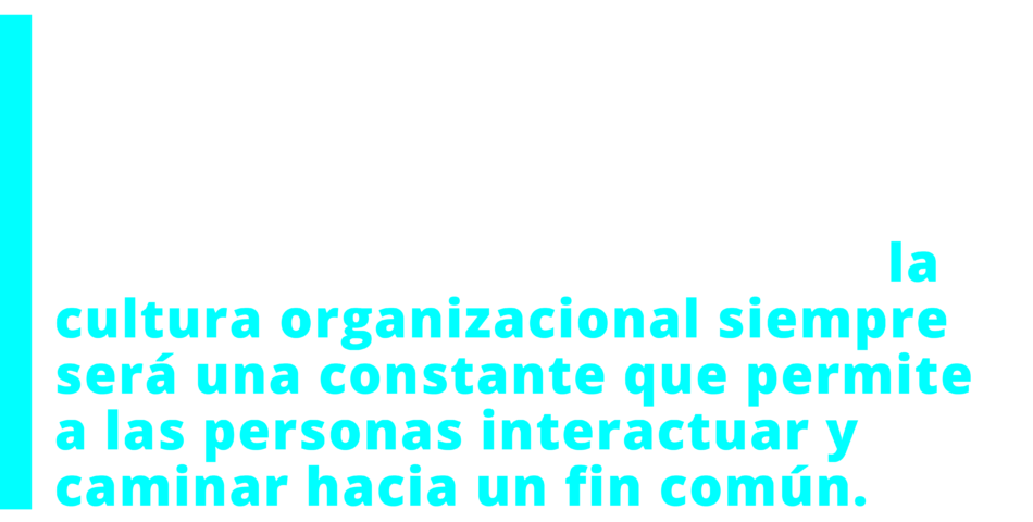 4 ACCIONES PARA GENERAR UNA CULTURA ORGANIZACIONAL POSITIVA | Mag21